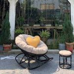 papasan-bap-benh-thu-gian-may-nhua
